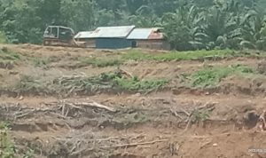 47072c27-c9ef-4cec-8281-1a92c931c170