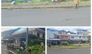 GridArt_20251105_153312461